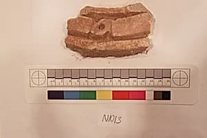 Stucco Fragment by Unknown Artist