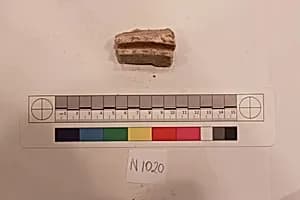 Stucco Fragment by Unknown Artist