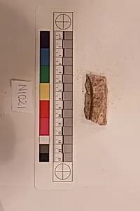 Stucco Fragment by Unknown Artist