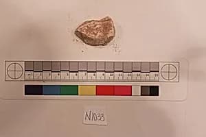Stucco Fragment by Unknown Artist