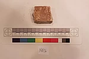 Stucco Fragment by Unknown Artist