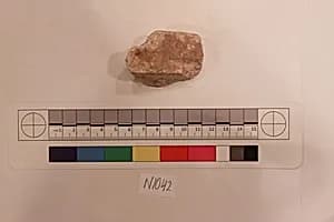 Stucco Fragment by Unknown Artist