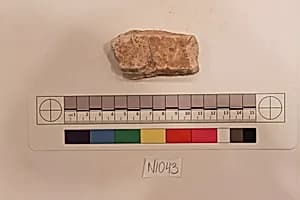 Stucco Fragment by Unknown Artist