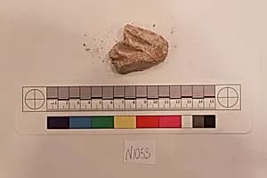Stucco Fragment by Unknown Artist