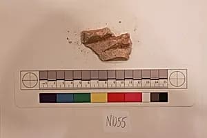 Stucco Fragment by Unknown Artist