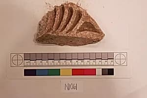 Stucco Fragment by Unknown Artist