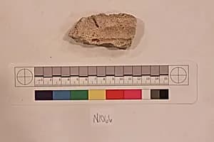 Stucco Fragment by Unknown Artist