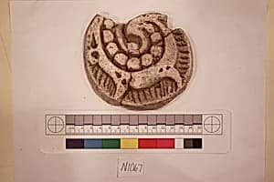 Stucco Fragment by Unknown Artist