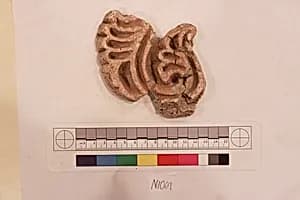 Stucco Fragment by Unknown Artist