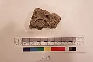 Stucco Fragment by Unknown Artist