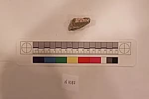 Stucco Fragment by Unknown Artist