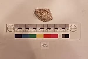 Stucco Fragment by Unknown Artist