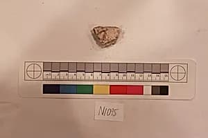 Stucco Fragment by Unknown Artist