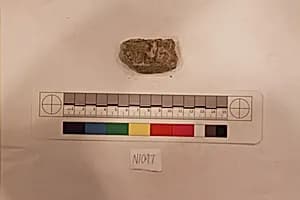 Stucco Fragment by Unknown Artist