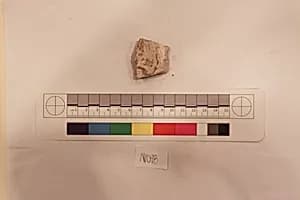 Stucco Fragment by Unknown Artist