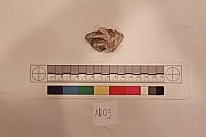 Stucco Fragment by Unknown Artist