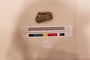 Stucco Fragment by Unknown Artist