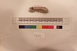 Stucco Fragment by Unknown Artist