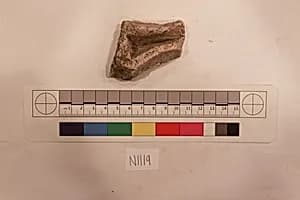 Stucco Fragment by Unknown Artist
