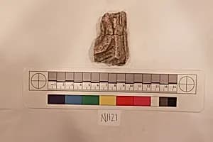 Stucco Fragment by Unknown Artist