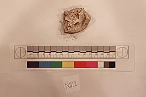 Stucco Fragment by Unknown Artist