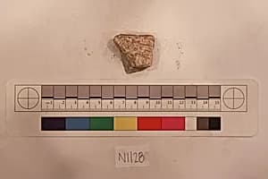Stucco Fragment by Unknown Artist