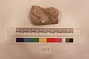 Stucco Fragment by Unknown Artist