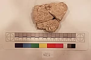 Stucco Fragment by Unknown Artist