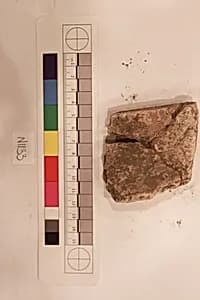 Stucco Fragment by Unknown Artist