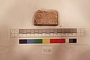 Stucco Fragment by Unknown Artist