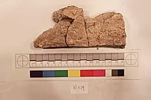 Stucco Fragment by Unknown Artist