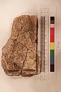 Stucco Fragment by Unknown Artist