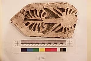 Stucco Fragment by Unknown Artist