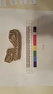 Stucco Fragment by Unknown Artist