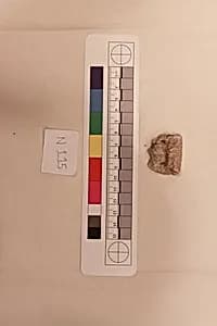 Stucco Fragment by Unknown Artist