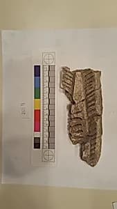Stucco Fragment by Unknown Artist