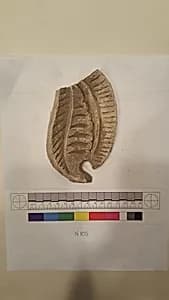 Stucco Fragment by Unknown Artist