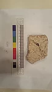 Stucco Fragment by Unknown Artist