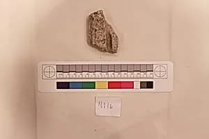 Stucco Fragment by Unknown Artist