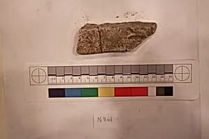 Stucco Fragment by Unknown Artist