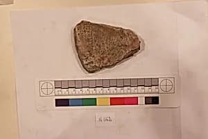 Stucco Fragment by Unknown Artist