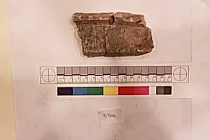 Stucco Fragment by Unknown Artist