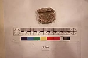Stucco Fragment by Unknown Artist