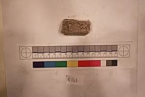 Stucco Fragment by Unknown Artist