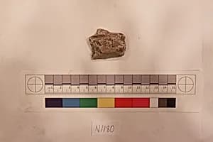 Stucco Fragment by Unknown Artist