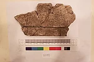 Stucco Fragment by Unknown Artist