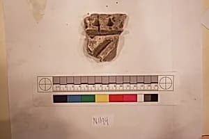 Stucco Fragment by Unknown Artist