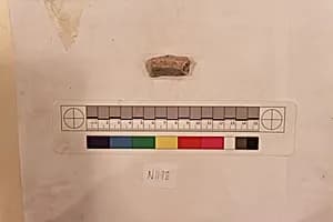 Stucco Fragment by Unknown Artist