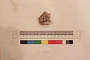 Stucco Fragment by Unknown Artist