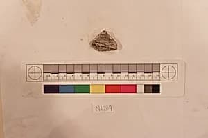 Stucco Fragment by Unknown Artist